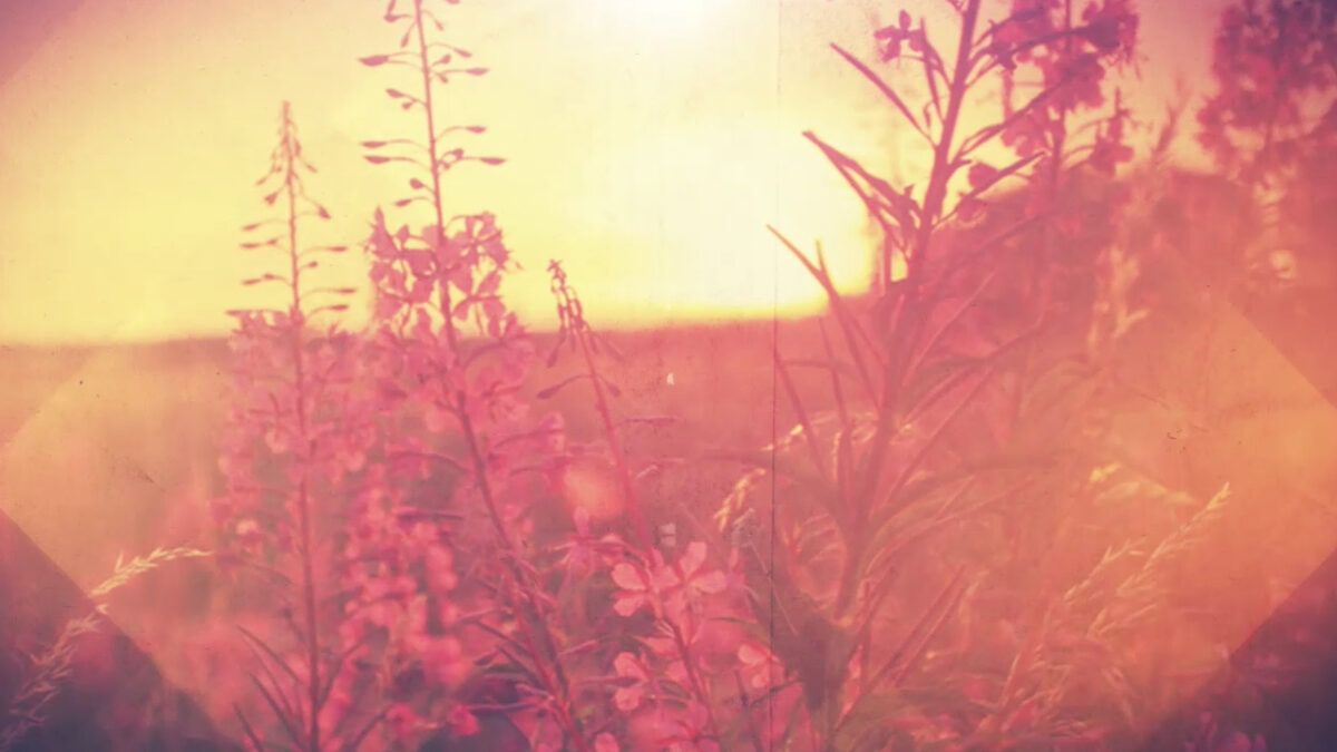 (April 19, 2026) “A Simple Place in a Larger Story”